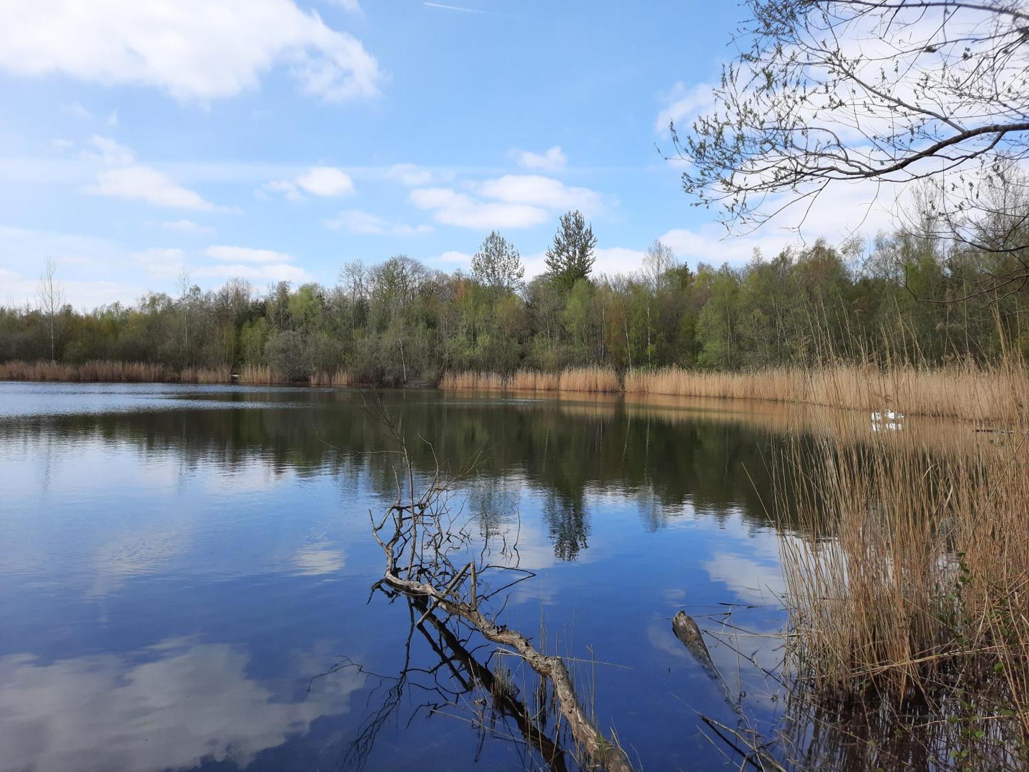 Ferienhaus Am See Goch Kessel Habitación foto